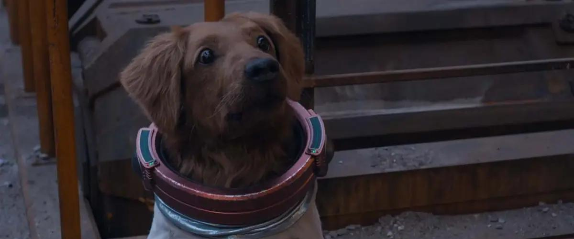 La historia detrás de Cosmo en Guardianes de la Galaxia