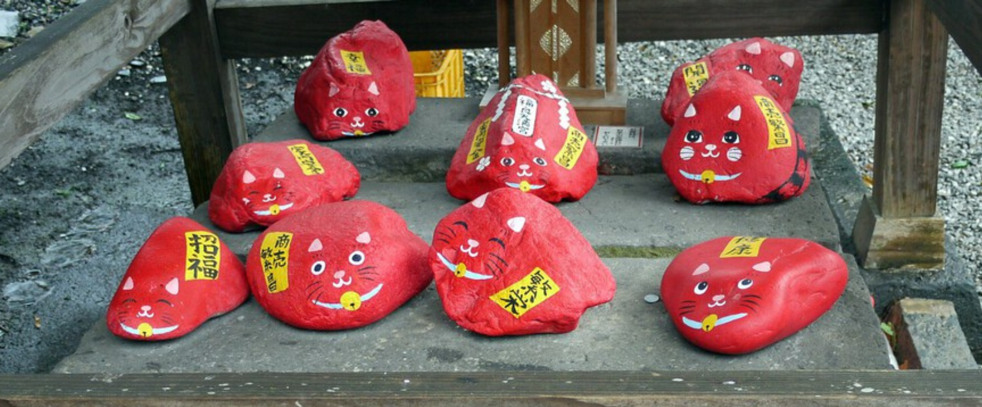 ¿Piedras como mascotas?