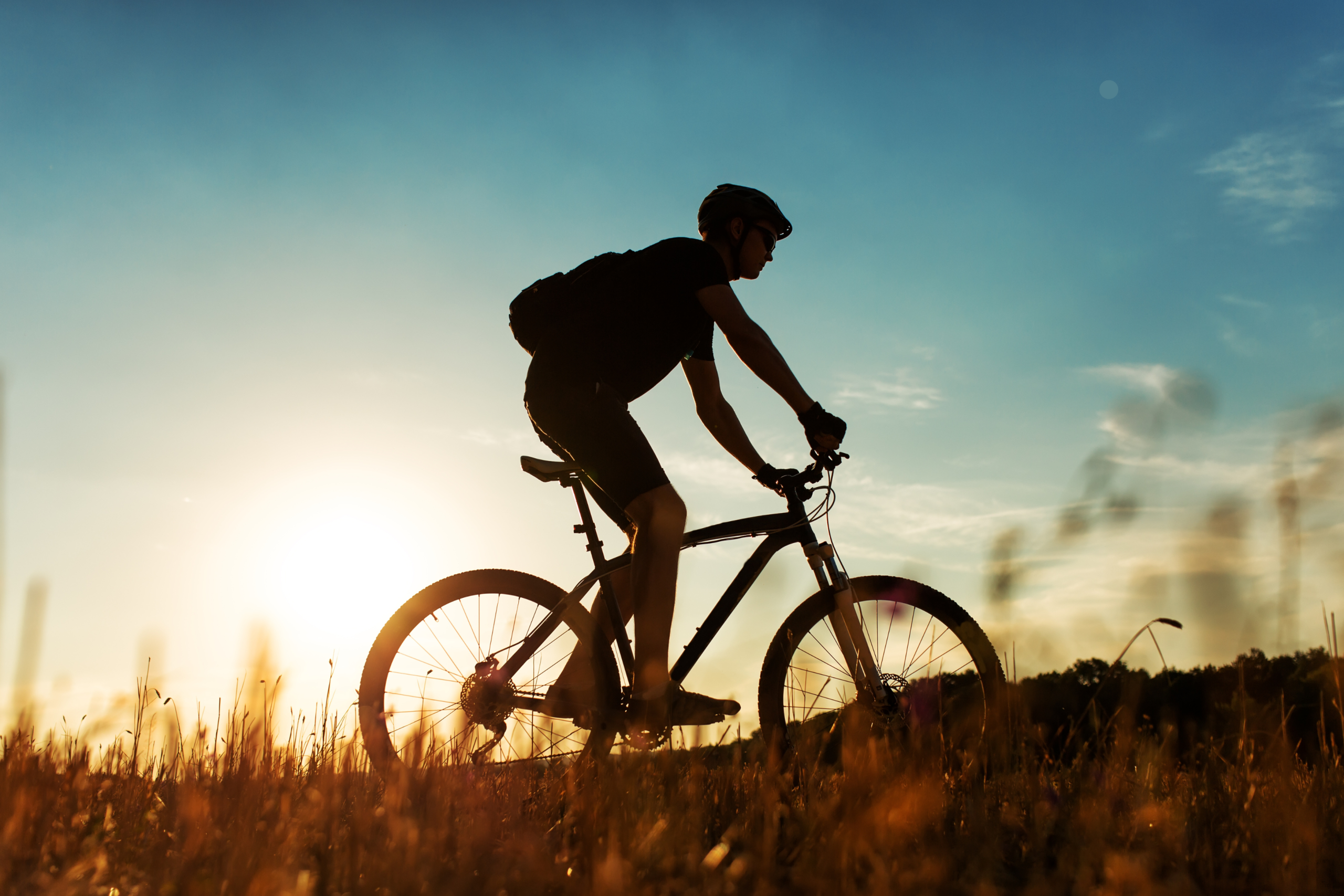 ¡Celebra pedaleando! Hoy es el Día Mundial de la Bicicleta